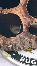 Porcellio scaber "Dalmatian"